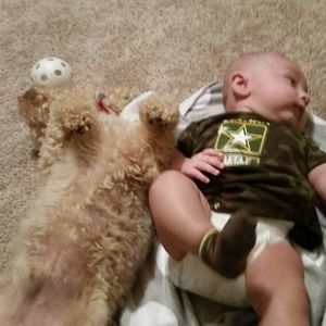 Meet your Posher, Dee